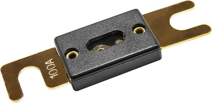 5 Pack of 100 AMP ANL Fuses (5 per bag) - Getwiredusa