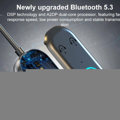 BR08T 2 in 1 Car Bluetooth AUX Receiver Transmitter Bluetooth Audio Adapter, BR08T